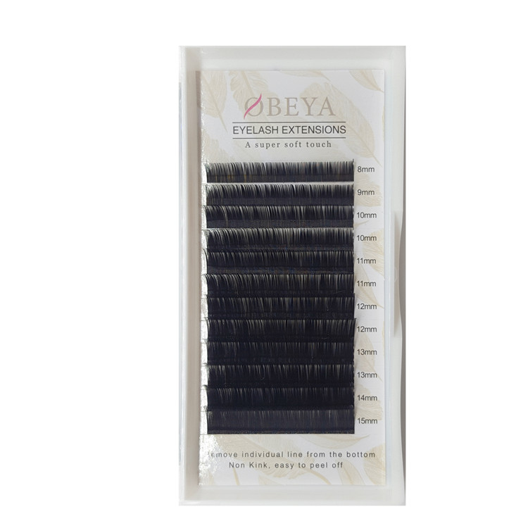 Russian Volume Eyelash Extensions 0.05mm 0.07mm Mix Tray 6-16mm Wholesale Price FM011